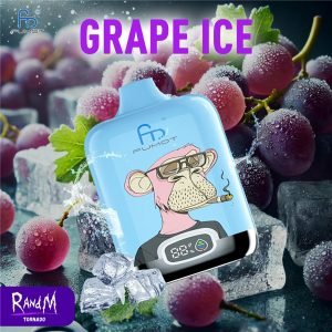 Grape Ice RandM Digital Box 12000