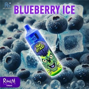 Blueberry Ice RandM Vape 9000